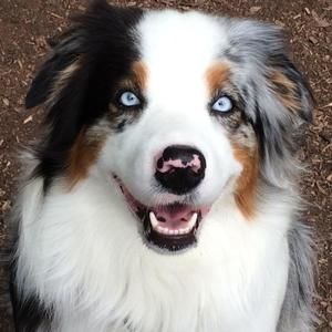 Meet your Posher, Cheryl